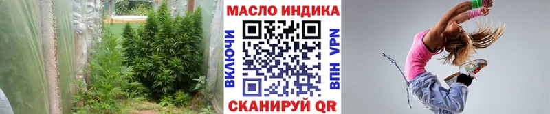 ТГК гашишное масло  Купить где  Назрань 